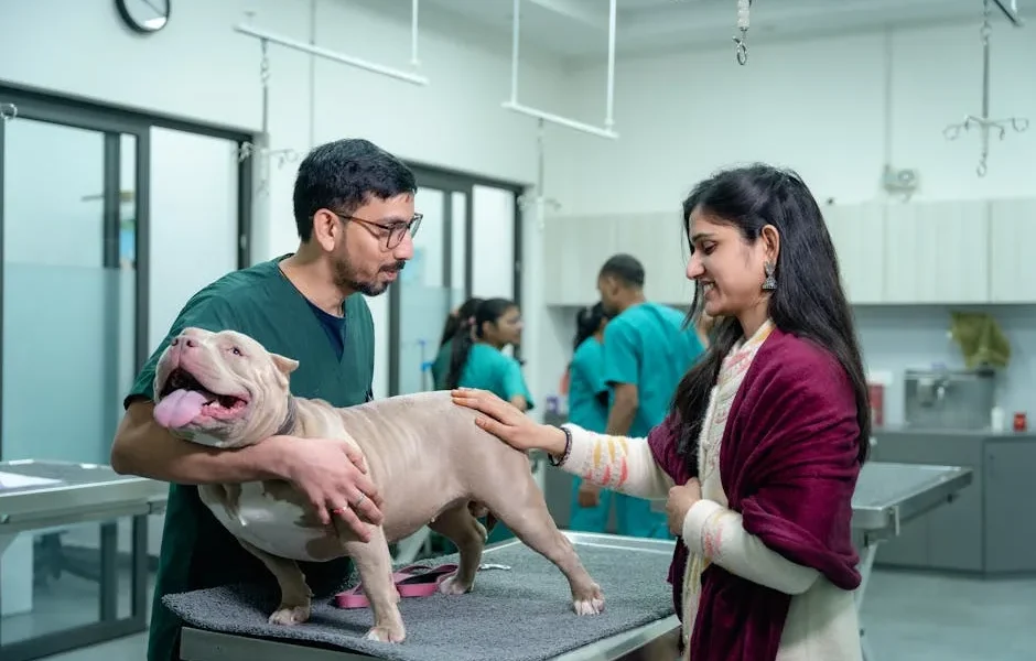 10 Essential Questions to Ask Your Vet During Annual Pet Checkup