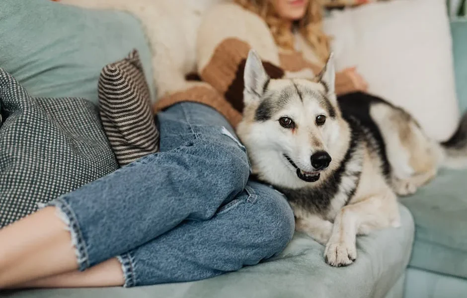 Common Pet Toxins in Your Home: Complete Safety Guide 2025