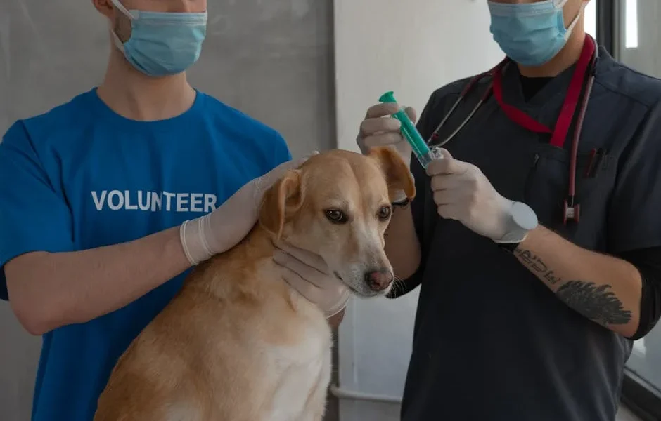 Flea and Tick Medications for Pets: Expert Safety Guide 2025