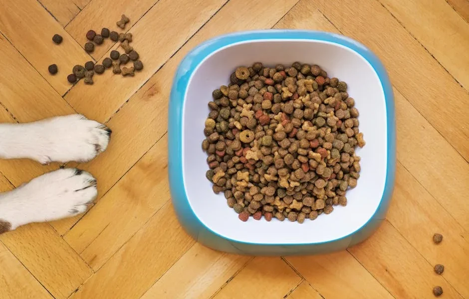 Homemade Pet Food Safety: Vet-Approved Recipes & Nutritional Balance Tips 2025