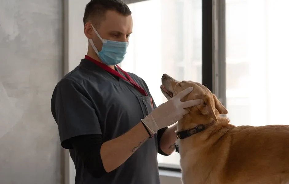 How to Create a Personalized Preventive Care Plan for Your Pet in 2026