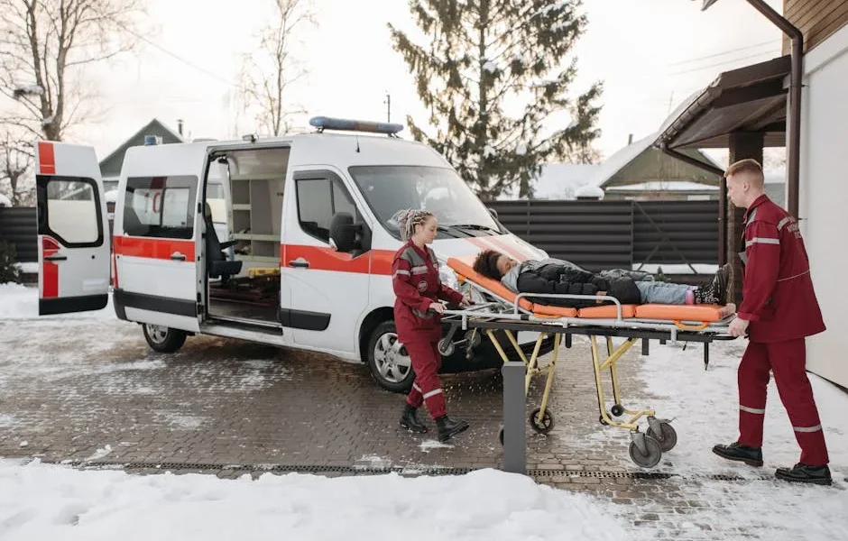 How to Safely Transport an Injured Pet to Emergency Vet 2025