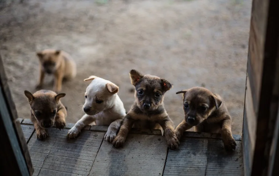 How to Socialize Your New Puppy: Veterinary Behavioral Milestones