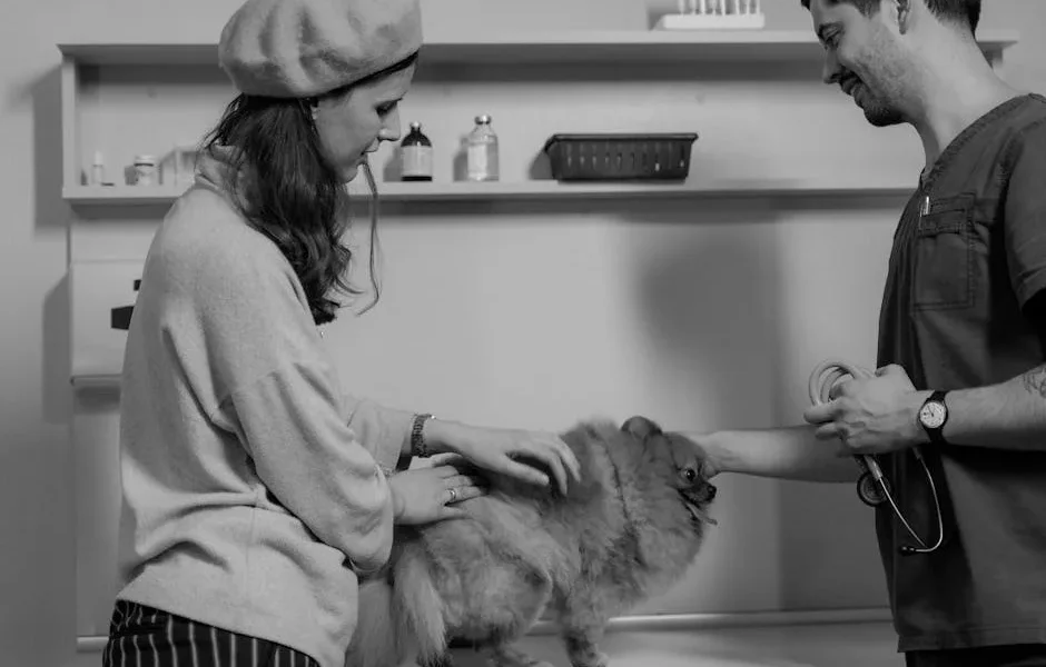 How to Transfer Pet Medical Records When Switching Vets (2025)