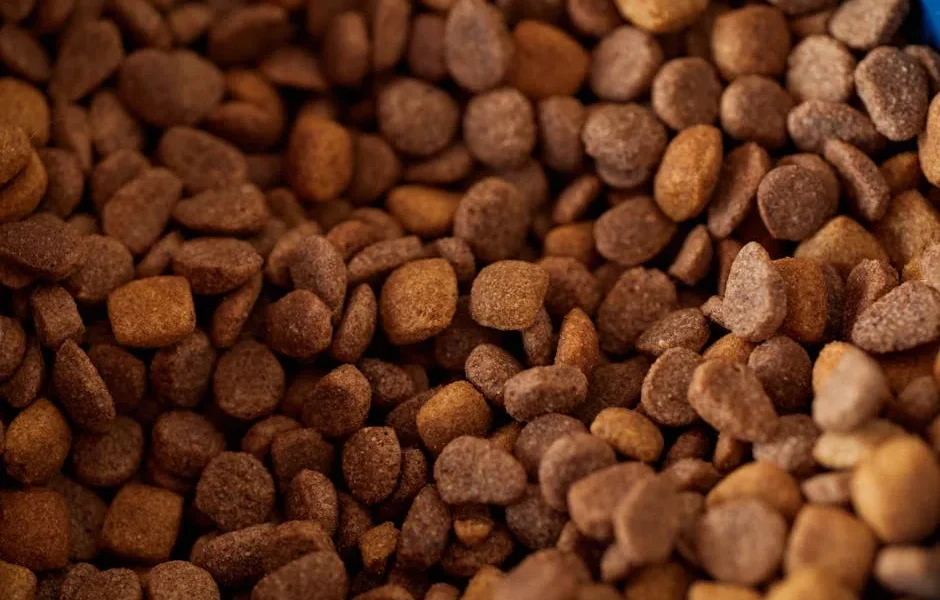 Pet Hydration Guide 2025: How Much Water Dogs & Cats Really Need