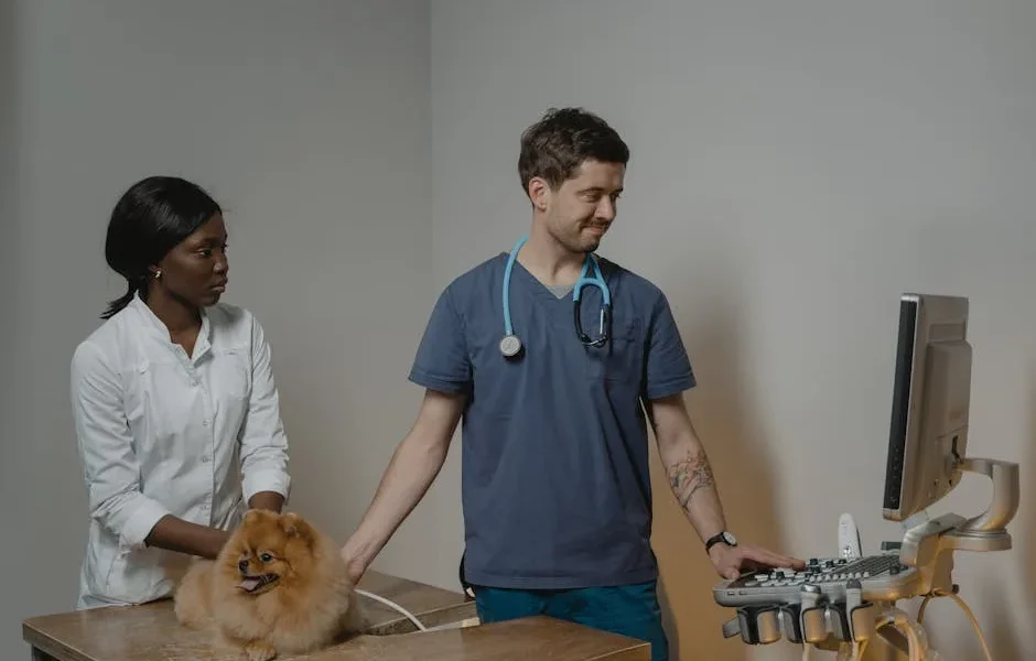 Pet Telehealth vs In-Person Vet Visits: When to Choose Which (2025)