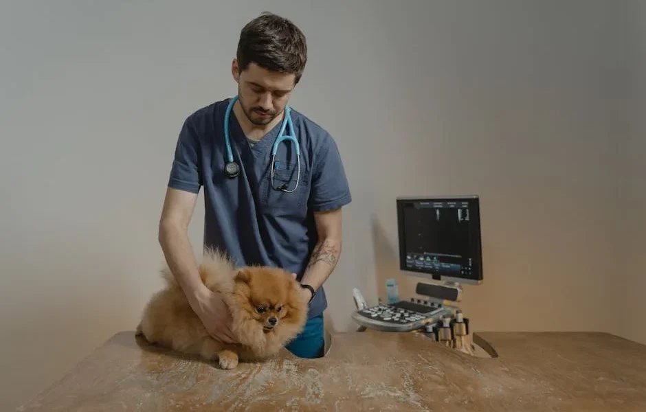 Steroid Medications for Pets: Safe Use Guide 2025 | When They’re Needed