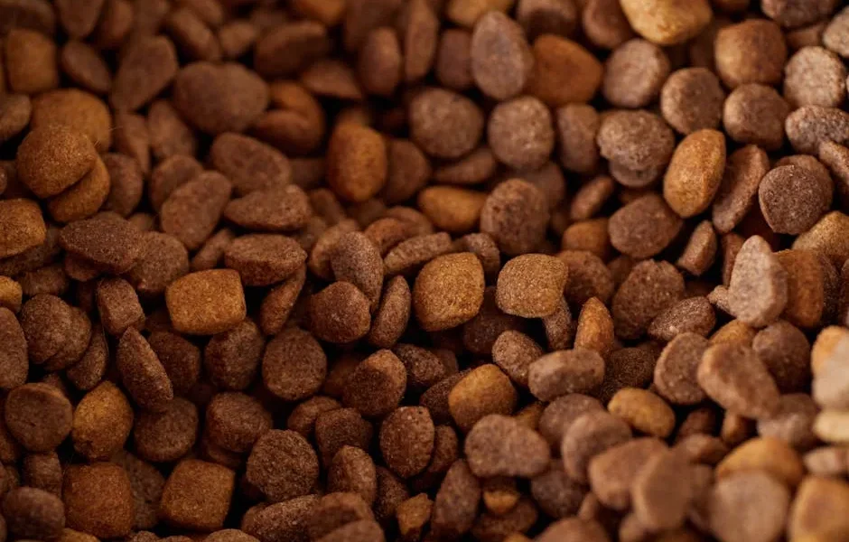 Understanding Pet Food Labels: Ingredient Guide 2025