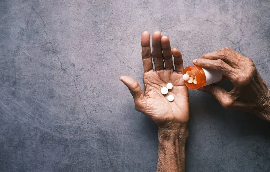 Arthritis Medications for Senior Pets: 2025 Pain Relief Guide