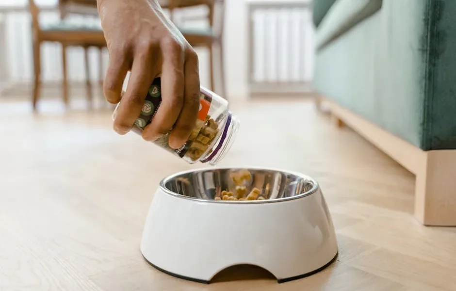 Dental Health Through Diet: How Pet Food Choices Impact Oral Hygiene in Dogs & Cats 2025