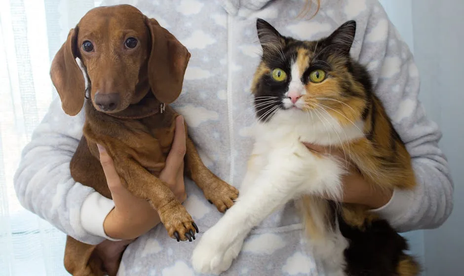 How to Recognize Early Warning Signs of Chronic Disease in Pets