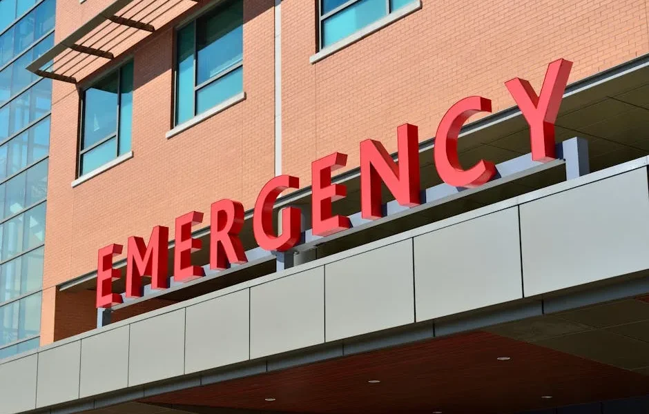 How to Recognize Hidden Emergency Symptoms Your Vet Wishes You Knew
