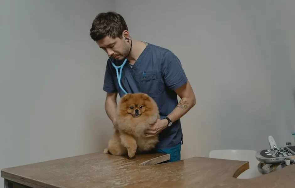 Veterinary Booking Platforms Compared 2025: Vetster vs Pawp vs Fuzzy