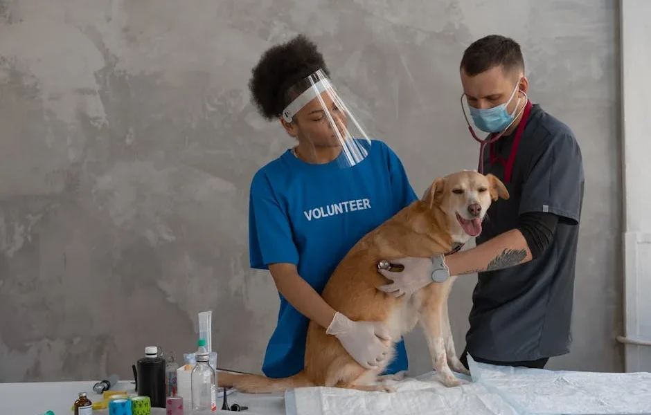 Veterinary Lab Work Costs 2025: What Pet Insurance Reimburses