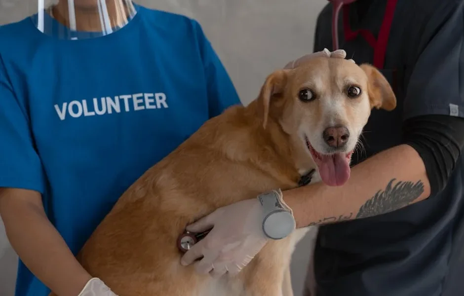 What Qualifies as a True Pet Emergency? Veterinary Triage Guide 2025