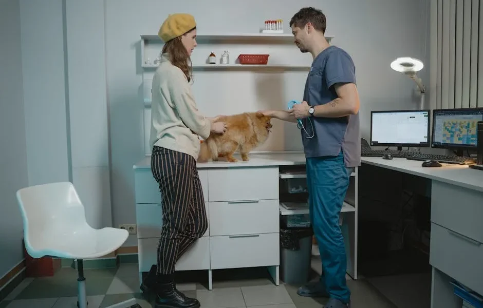 What Veterinary Accreditations Actually Mean: AAHA, AVMA & More